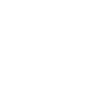 hawk